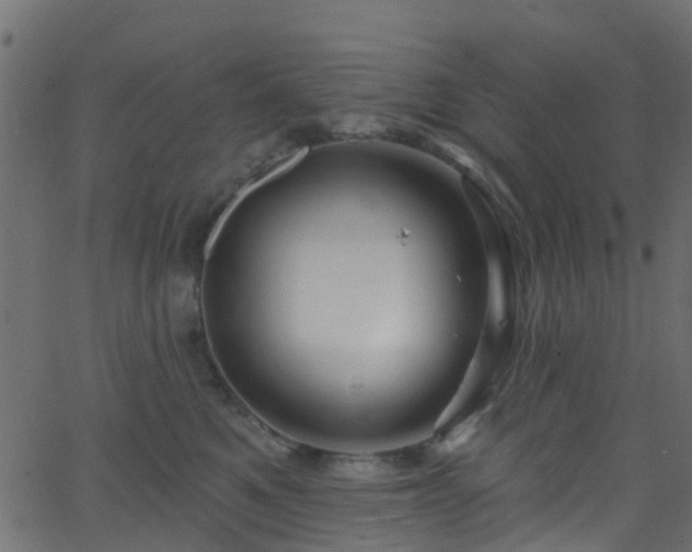 X0000068770521200605011030