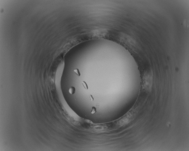 X0000068770522200605011030