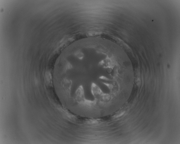 X0000068770523200605011030