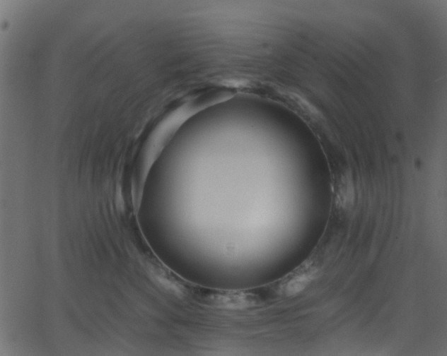 X0000068770524200605011030