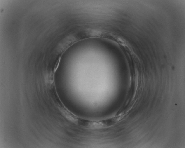 X0000068770525200605011030