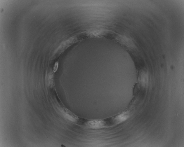 X0000068770526200605011030