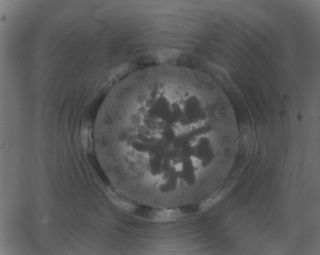 X0000068770527200605011030