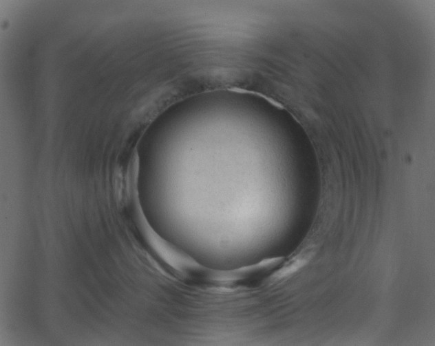 X0000068770528200605011030