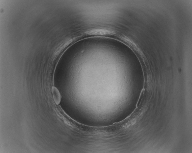 X0000068770529200605011029