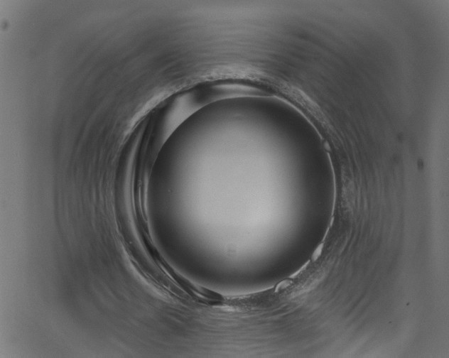 X0000068770530200605011029