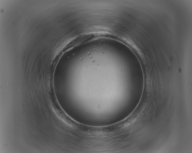 X0000068770533200605011029