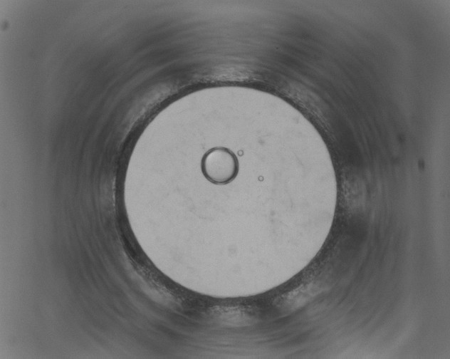 X0000068770534200605011029