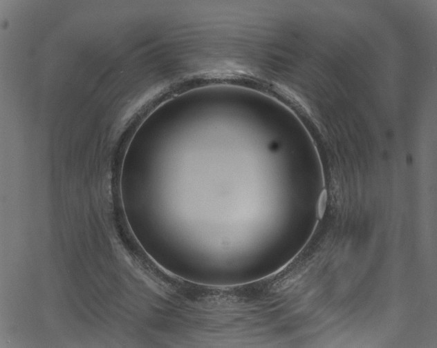 X0000068770535200605011029