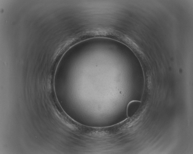 X0000068770537200605011029