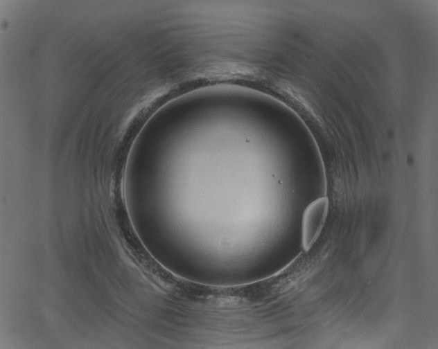 X0000068770539200605011029