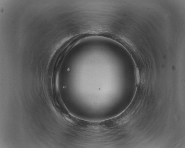 X0000068770540200605011029