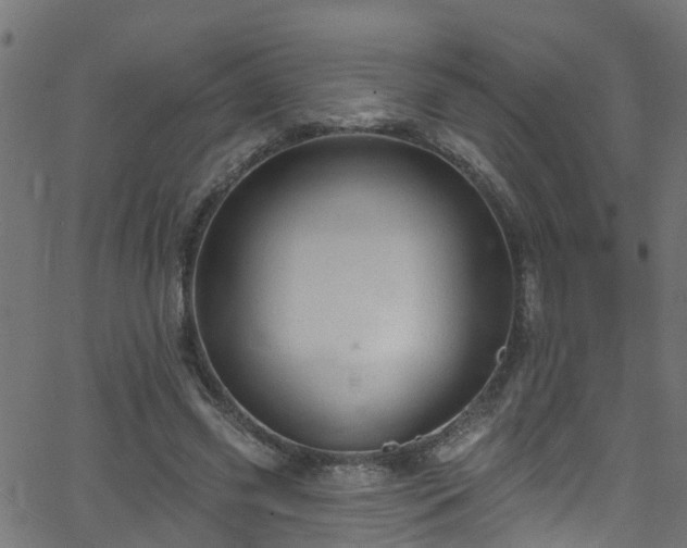 X0000068770541200605011029