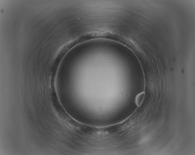 X0000068770543200605011029