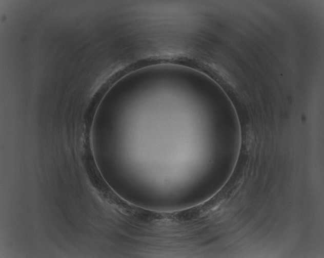 X0000068770544200605011029