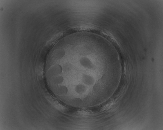 X0000068770545200605011029