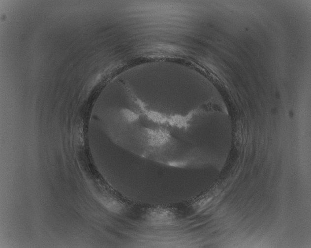 X0000068770547200605011029