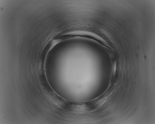 X0000068770548200605011029