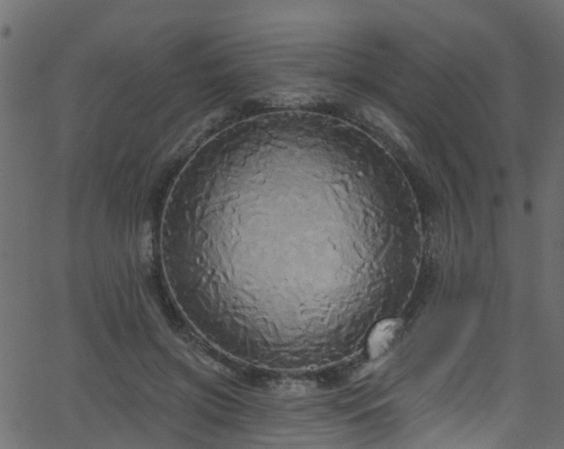 X0000068770549200605011030