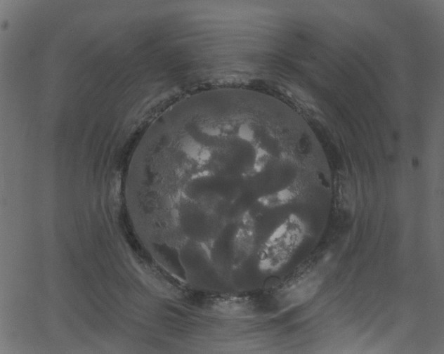 X0000068770550200605011030