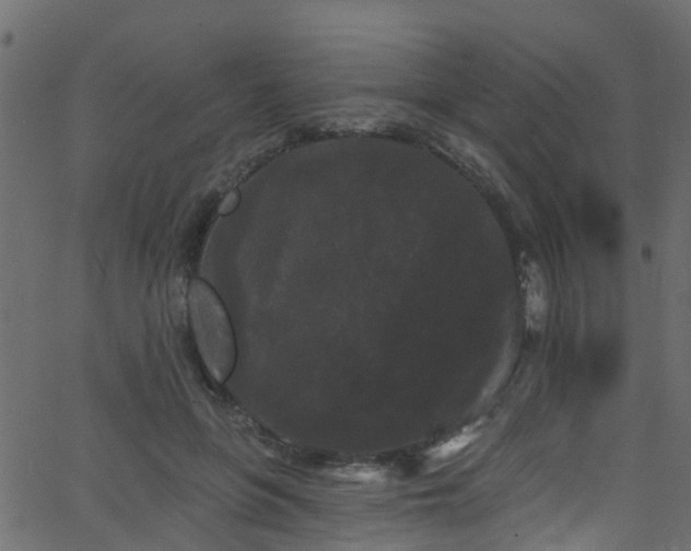 X0000068770551200605011030