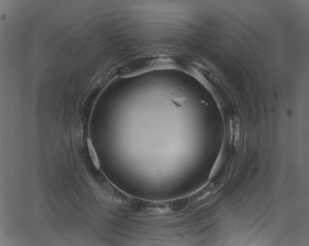 X0000068770552200605011030