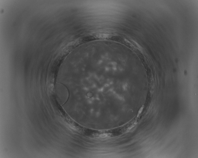 X0000068770553200605011030