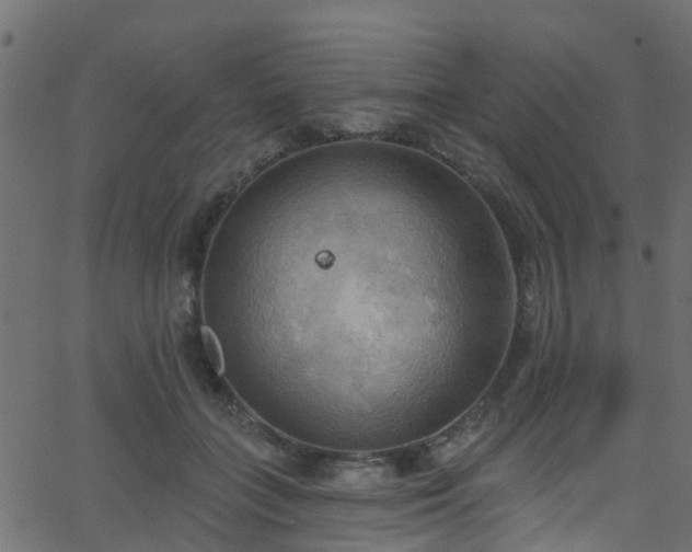 X0000068770555200605011030