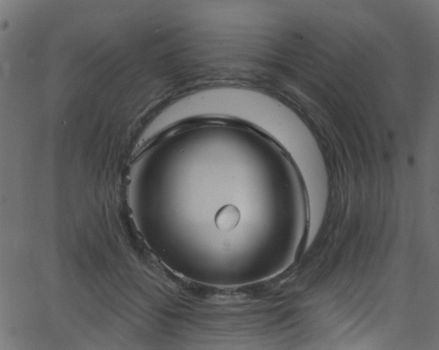 X0000068770556200605011030