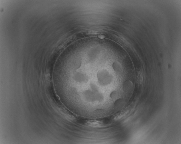 X0000068770557200605011030