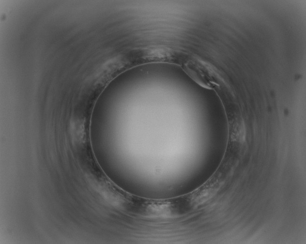 X0000068770560200605011030