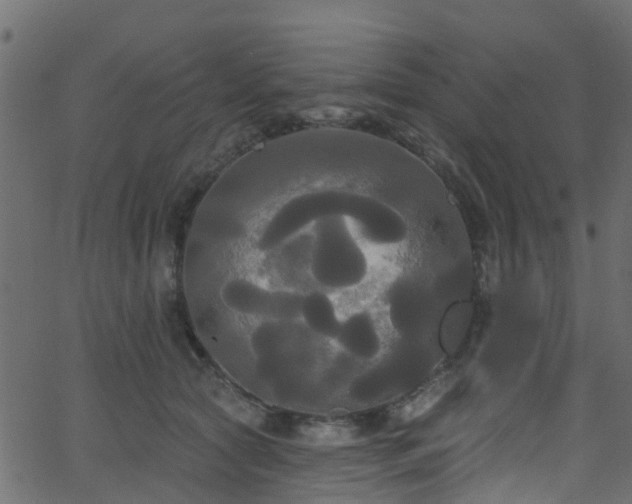 X0000068770561200605011030