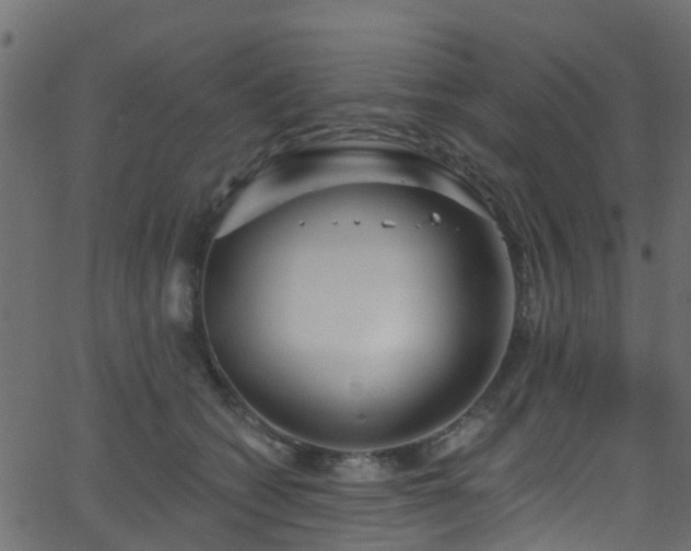 X0000068770562200605011030