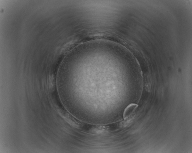 X0000068770563200605011030