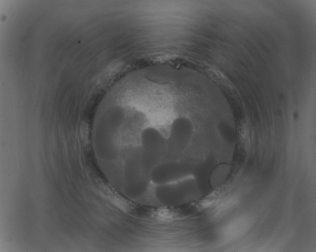 X0000068770565200605011030