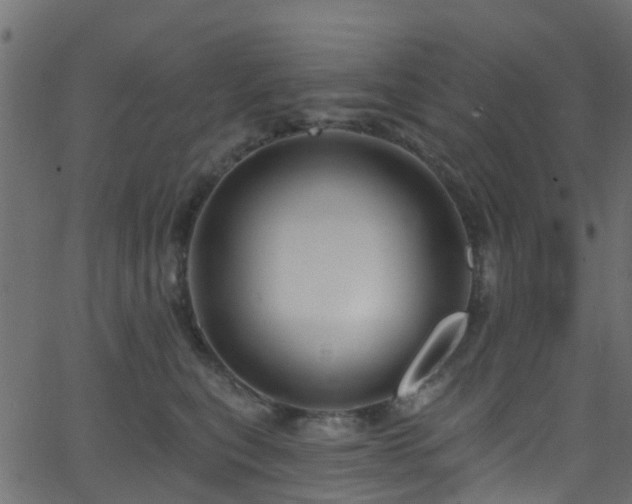 X0000068770567200605011030