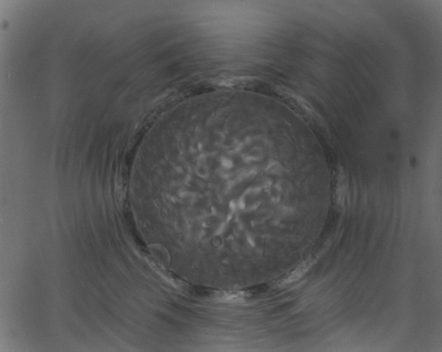 X0000068770569200605011030