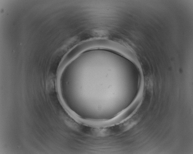 X0000068770570200605011030