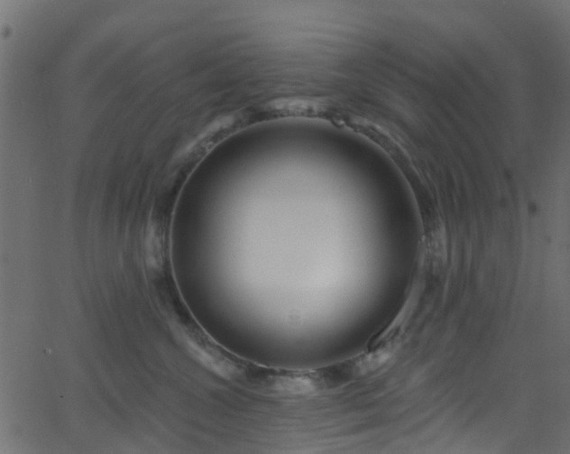 X0000068770572200605011030