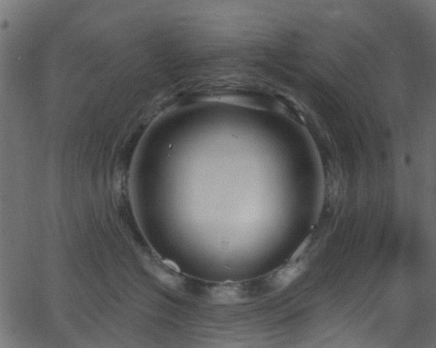 X0000068770574200605011030