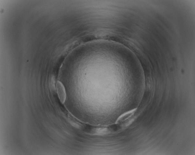 X0000068770575200605011030