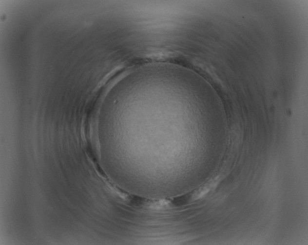 X0000068770576200605011030