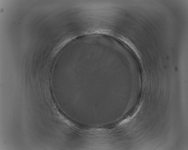 X0000068770577200605011029