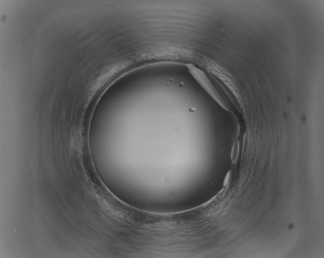 X0000068770578200605011029