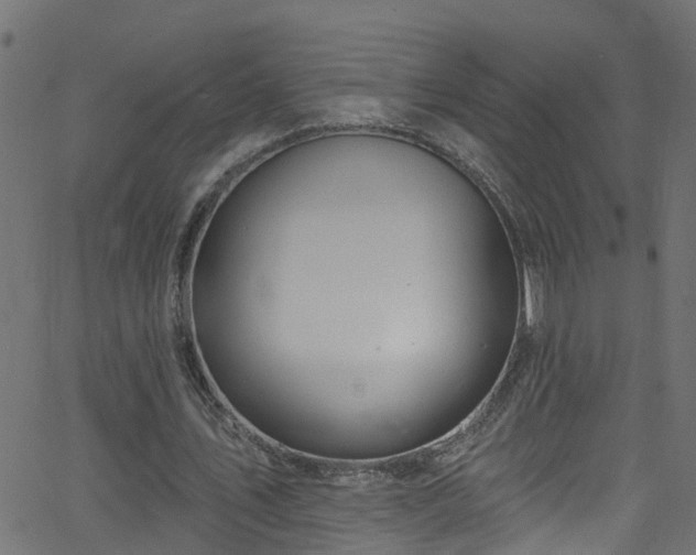 X0000068770579200605011029