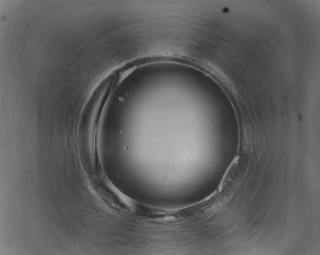 X0000068770580200605011029