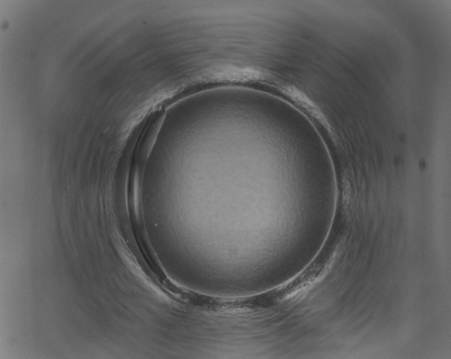 X0000068770581200605011029