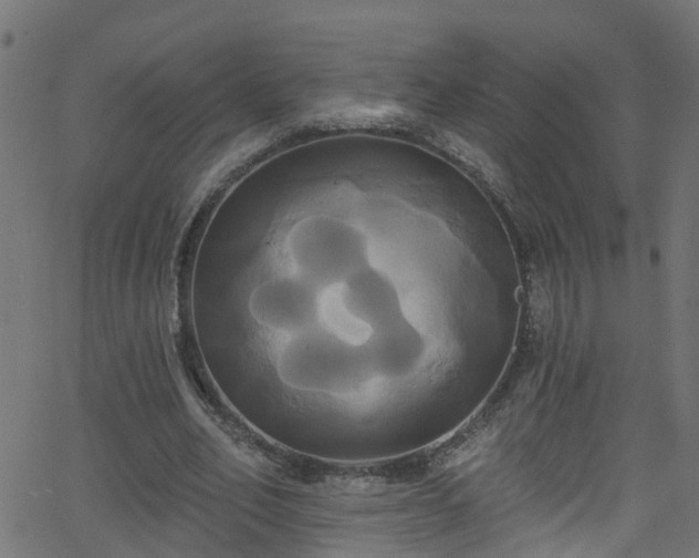 X0000068770582200605011029