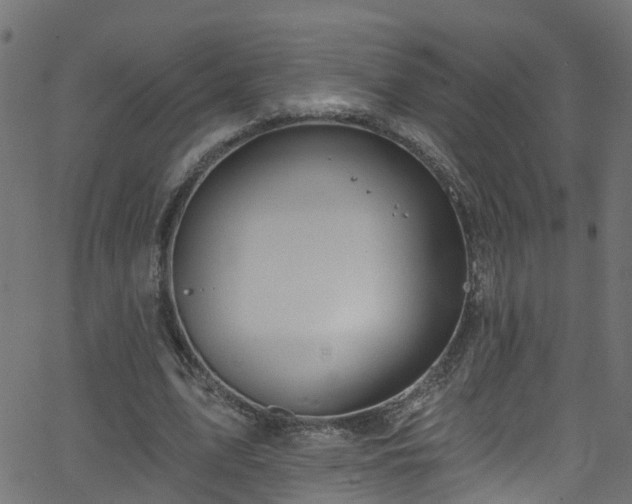 X0000068770583200605011029