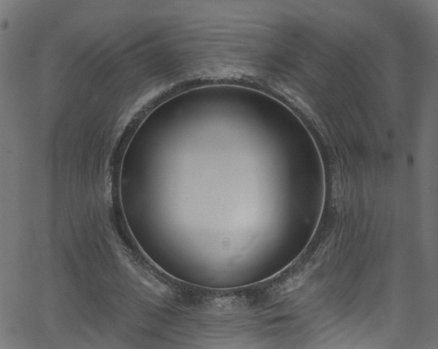 X0000068770584200605011029